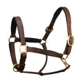 Richtan Luxury Padded Halter - Brown/Blue
