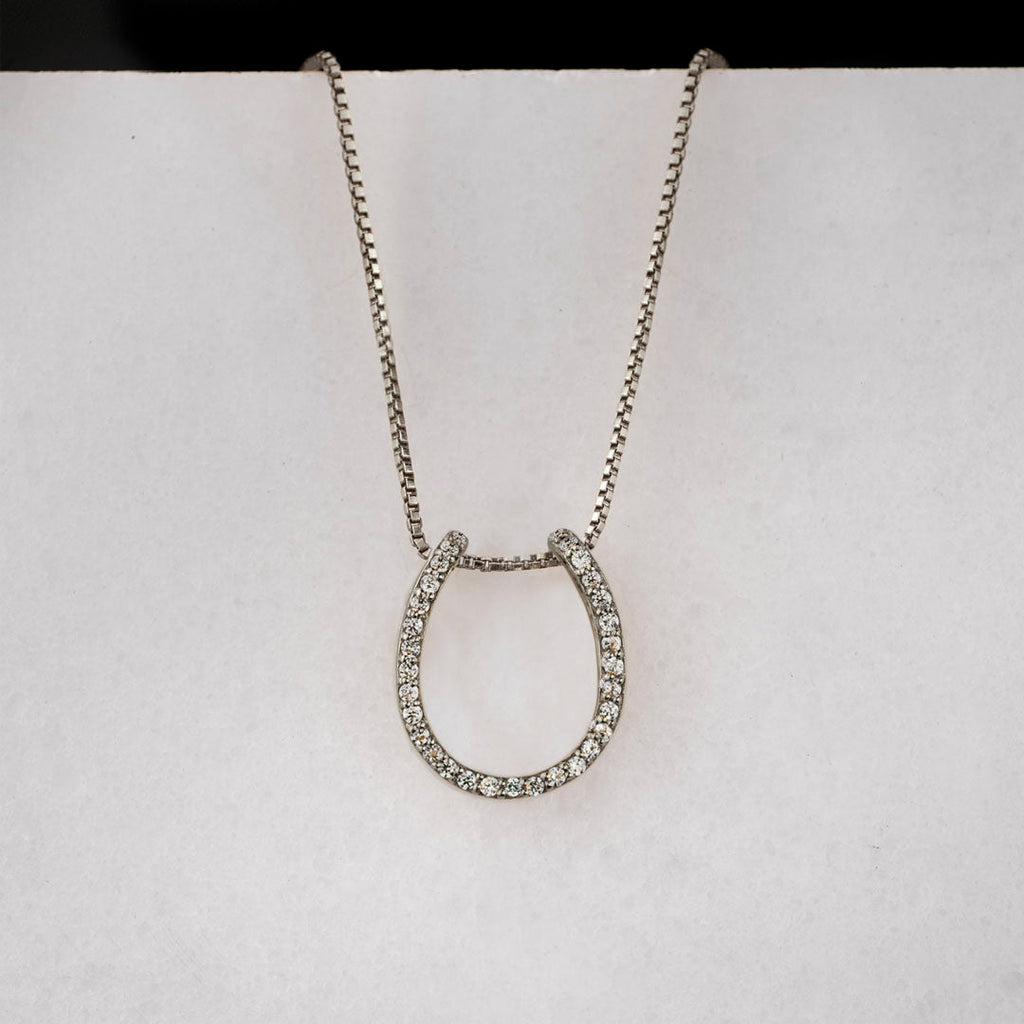 Levade -Moissanite Horseshoe Equestrian Necklace in Silver