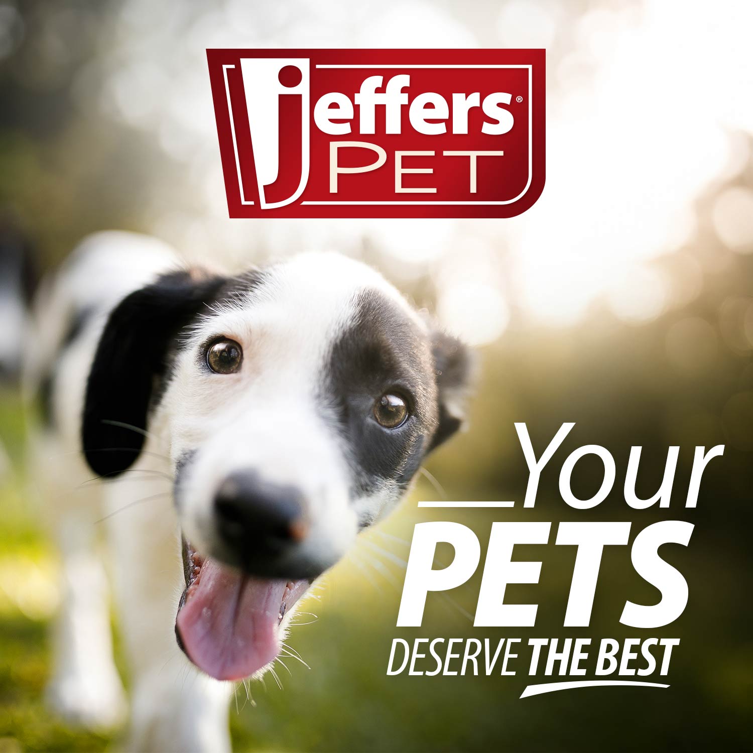 Jeffers Reflective Hound Series Nylon Dog Leash